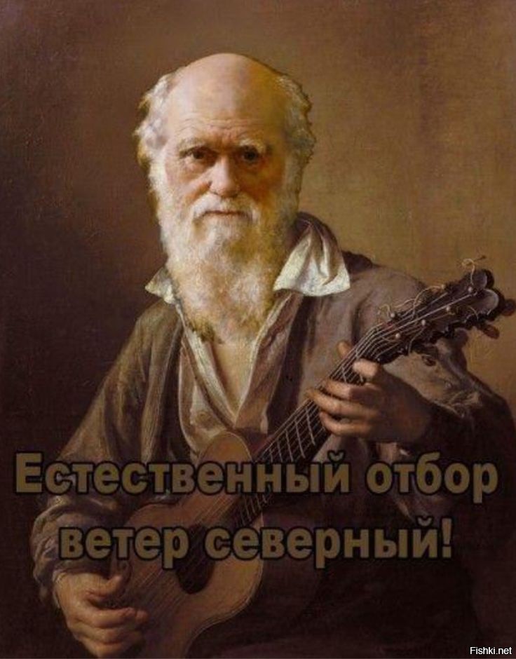 Блогер сорвался с самого высокого моста Испании во время съёмки контента