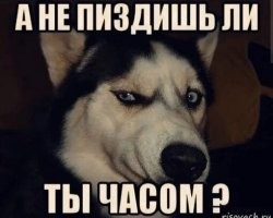 автор