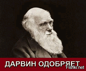 БРАВО!!!
:applause:
-1.