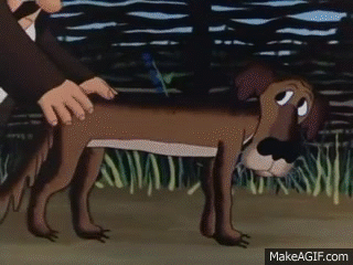 20 примеров, демонстрирующих гениальность наших питомцев в области мелких пакостей