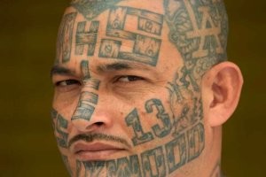 МС-13 (MS-13)   международная банда, состоящая главным образом из уроженцев Сальвадора. В основном они бьют 13, что это символизирует в России, я не в курсе.
