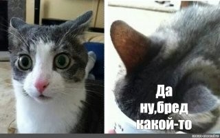 Учёный рассчитал, с какой вероятностью сюжет комедии "Один дома" мог произойти в реальности