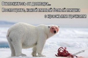 Смешные картинки