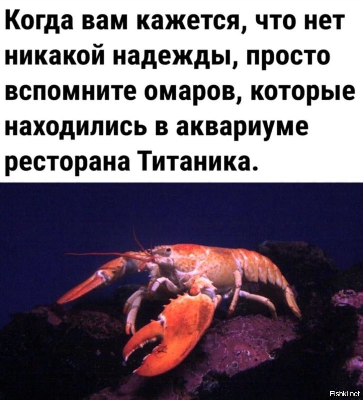 Солянка от 24.12.2025