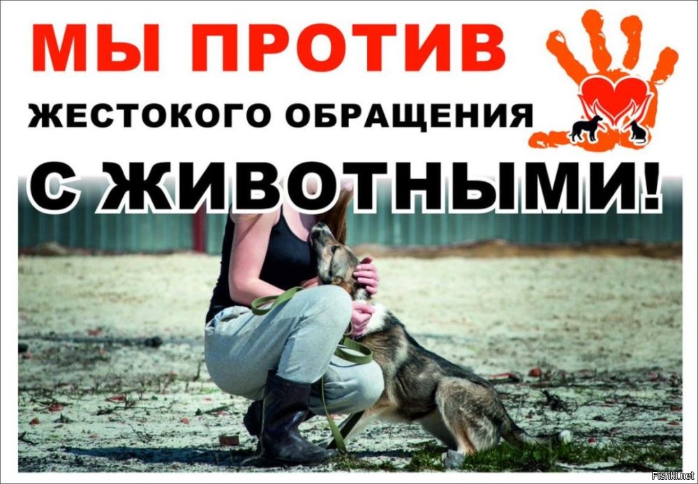 Солянка от 26.12.2025