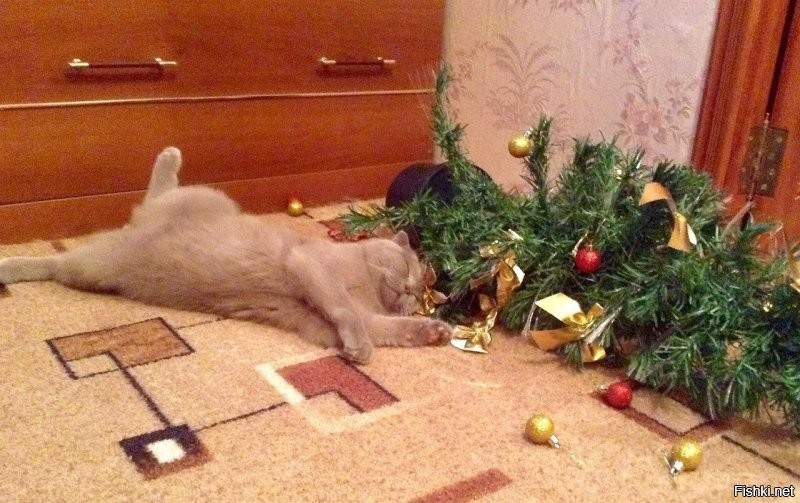 Солянка от 26.12.2025