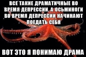 У побережья Калифорнии был замечен редкий семирукий осьминог