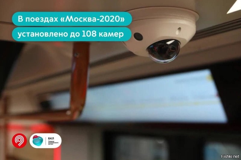 А то машинист не знает. Тут же фишка не в том, чтобы предотвратить правонарушение, а в том, чтобы выложить контент. Да если бы он срать посреди вагона сел, ему бы никто слова не сказал, пока не запостили такое видео в своих канальчиках.