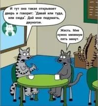 Лишь о политике