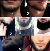 7 основных призаков шакалиных выродков