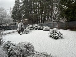В среду будет ледяной дождь и до выходных все тоже самое . Может быть и есть маленький шанс но что то вериться с трудом как и в прошлом году . Снег пошел ровно в 12 ночи :) . Утро первого вышли на море погулять да и собаки снег любят :)
