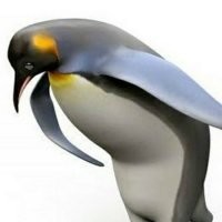 В Госдуме пообещали не штрафовать россиян за использование VPN