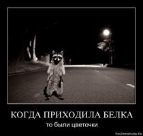 Ну, где там ваши олени?