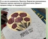 лохматкіна підтримка