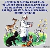 Лишь о политике и лишь о ней