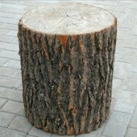 Просчитался, но где?