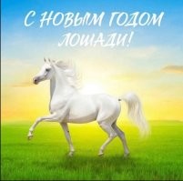 Сегодня шеф всем разослал поздравления. Он издевается или просто забыл поставить запятую?!