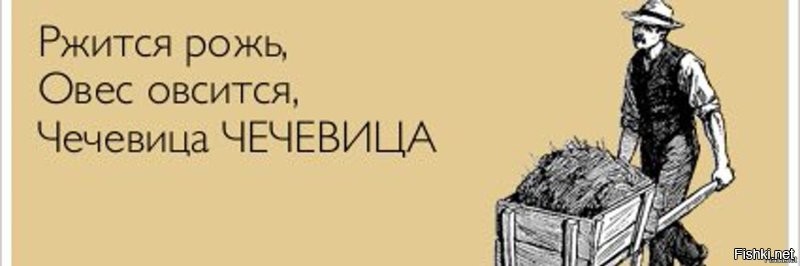 Смешные картинки