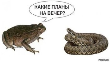 Офисная мечта сбылась: самонаводящееся ведро от китайских инженеров