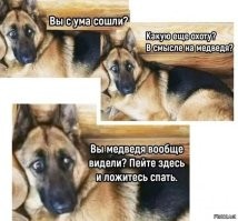 Смешные картинки