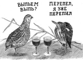 Смешные картинки