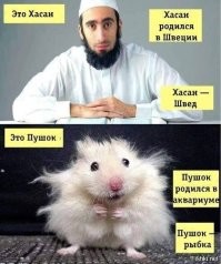 Смешные картинки
