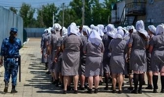 Животное >..