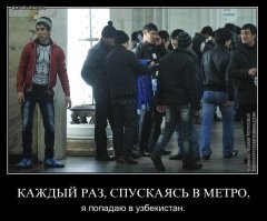 «Здесь намаз»: москвичка не смогла пройти к любимой кофейне из-за рамочного режима