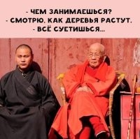 Прозрачный горшок для выращивания растений без почвы и полива