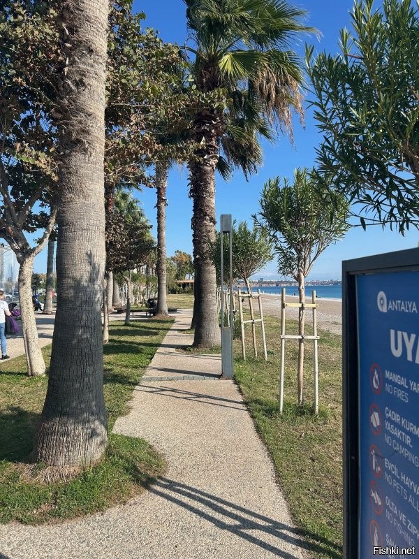 Братан, догадайся, это я сам фоткал, или фотка из инета?
Фас!