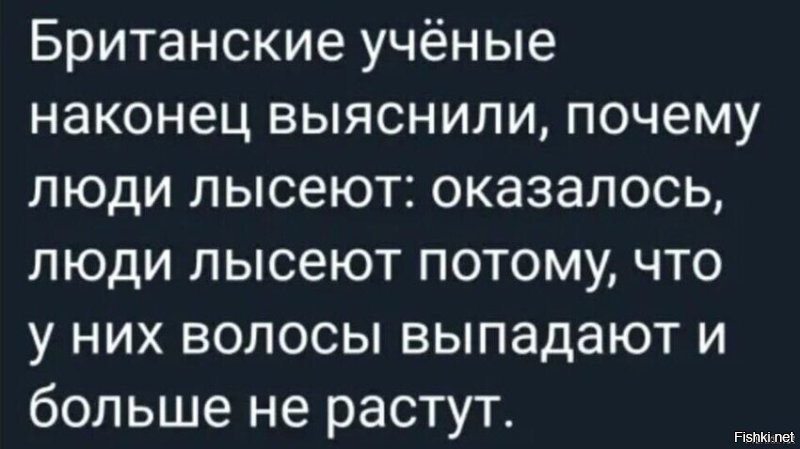 Солянка от 29.12.2025