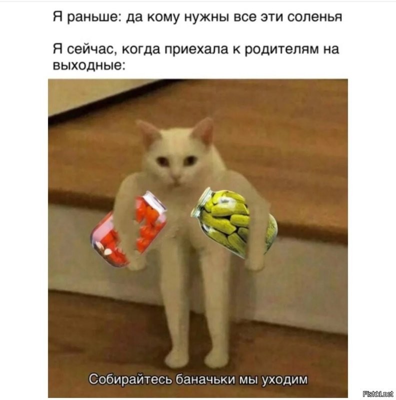 Не знаю к чему они готовились, но они готовы