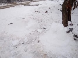 Да, есть такое. Мы с дочкой слепили деда Мороза и снегурочку. На следующее утро вандалы уничтожили. А снеговики красивые получились.