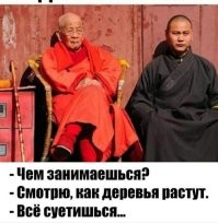 Почему бамбук растет так быстро?