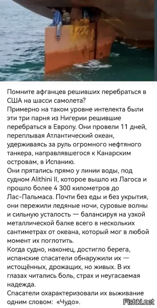 живучие и противоядие от них до сих пор не изобрели .
