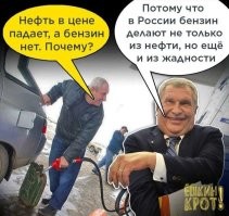 Биржевые цены на бензин упали на 11-19%