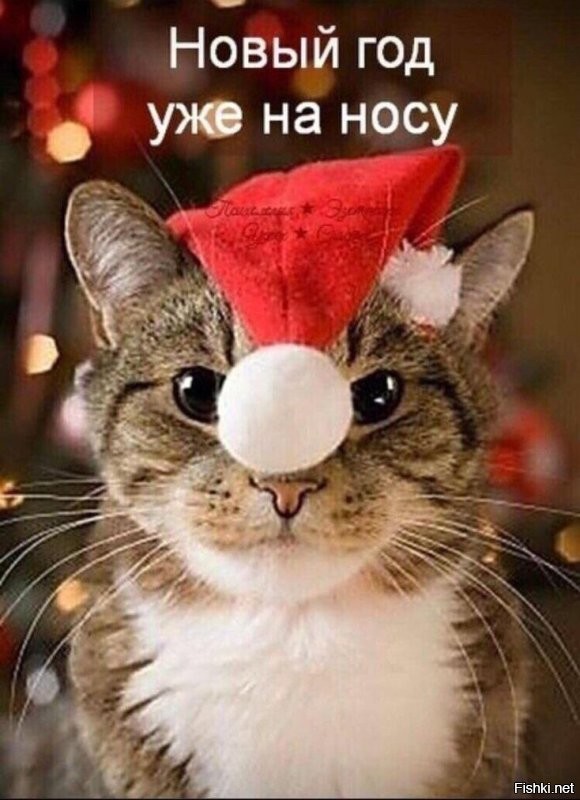 Доброе утро ) С наступающим 