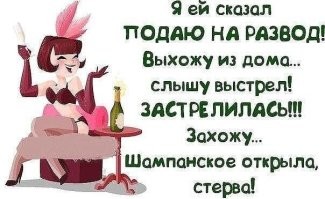 Я вчера подавал на развод. Через «Госуслуги», но квест не смог до конца пройти… Только это и спасло брак.