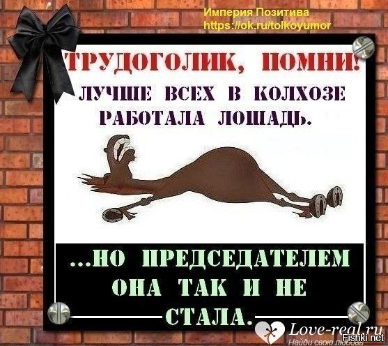 Солянка от 01.01.2026