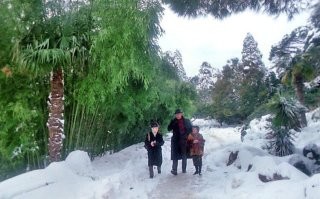 Ялта. "Асса".
И таких кадров там более чем достаточно.