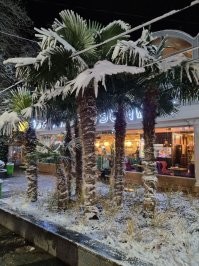 Ага ))

Ялта море пальмы ... но есть нюанс