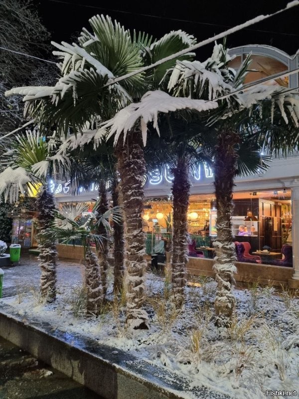 Ага ))

Ялта море пальмы ... но есть нюанс