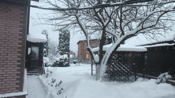 С наступившим! 
Хочу выразить огромную благодарность за совет. На сегодняшних традиционных шашлыках употребляли Углёвку. 
Заходила как дети в школу. 
Спасибо за совет!!!