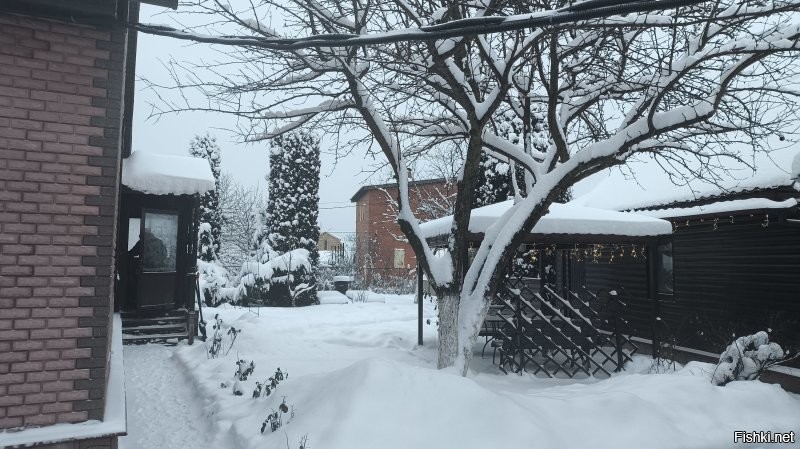 С наступившим! 
Хочу выразить огромную благодарность за совет. На сегодняшних традиционных шашлыках употребляли Углёвку. 
Заходила как дети в школу. 
Спасибо за совет!!!