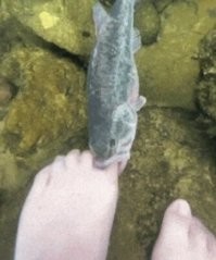 Хорошо, что не по пояс в воду зашёл!