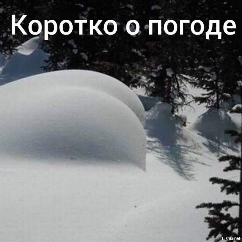 Солянка от 02.01.2026
