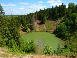 Озера уже нет.  Вот последние данные - . Фотографии в конце поста старые, предпоследняя висит в Википедии как 2004 год. Прикладываю, как озеро выглядело в июне 2011 года (вторая как раз около ели из последней фотки в посте) и его, увы, текущее состояние из ссылки выше - на бывшем дне уже растут деревья.