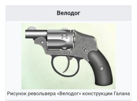 Способ борьбы с бродячими собаками