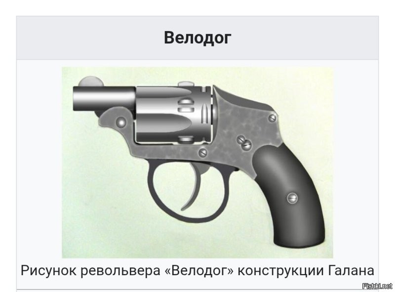 Способ борьбы с бродячими собаками