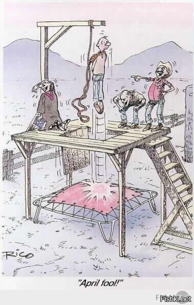 Солянка от 03.01.2026